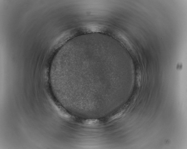 X0000091700410200709141103