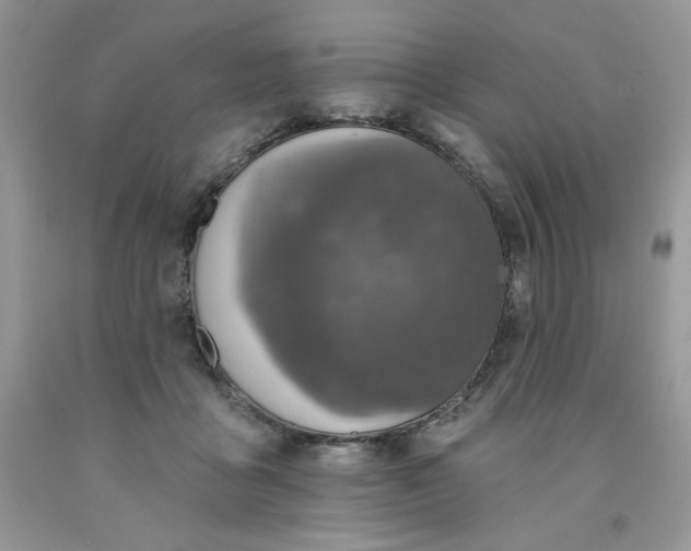 X0000091700411200709141103