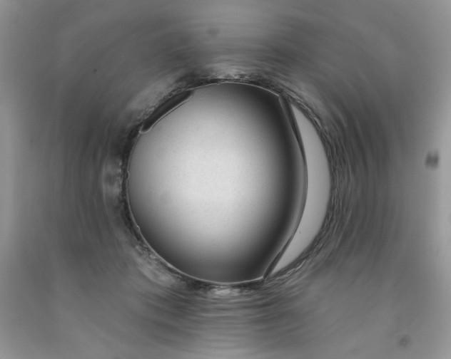 X0000091700413200709141103