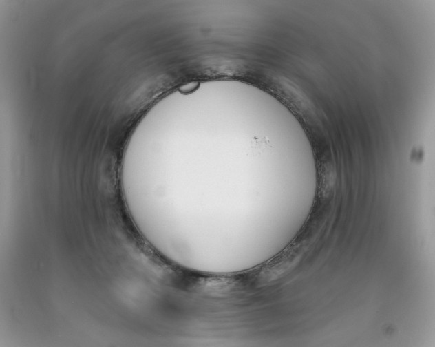 X0000091700414200709141103