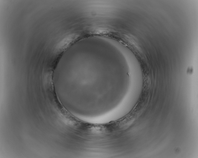 X0000091700415200709141103