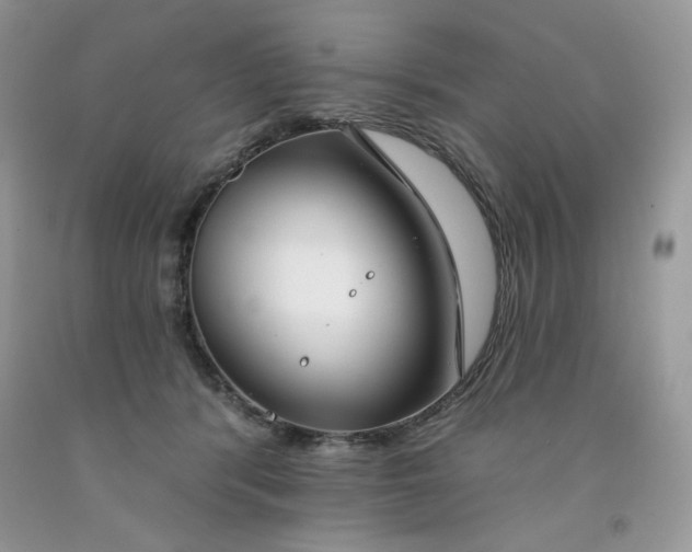 X0000091700416200709141103