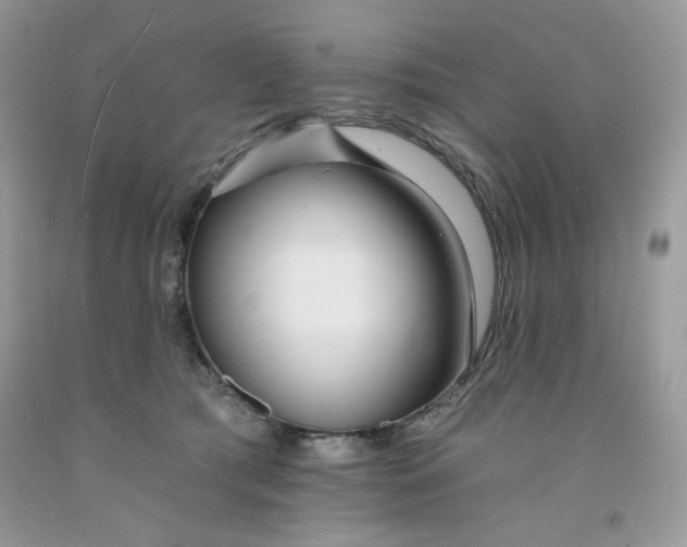 X0000091700417200709141103