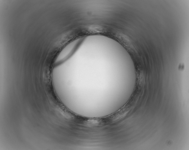 X0000091700418200709141103