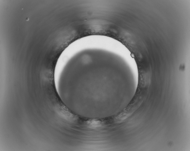 X0000091700419200709141103