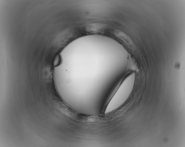 X0000091700420200709141103