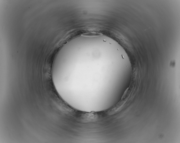 X0000091700421200709141103