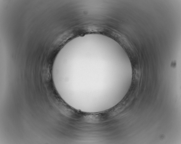 X0000091700422200709141103