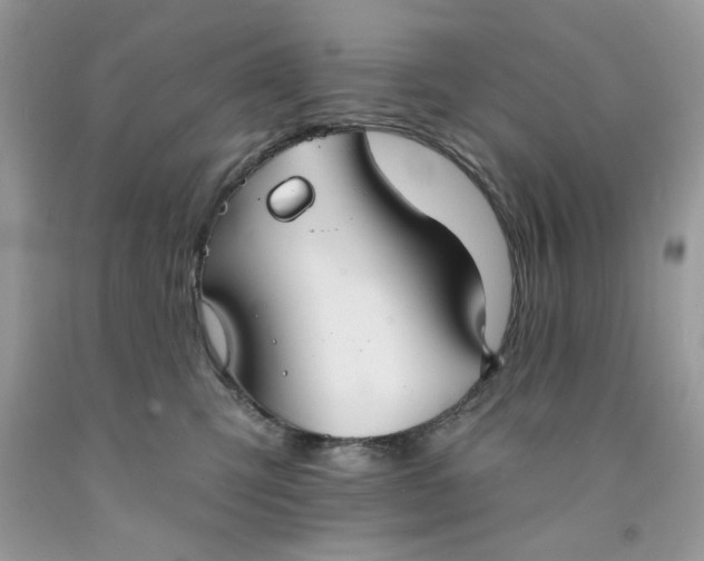 X0000091700423200709141103