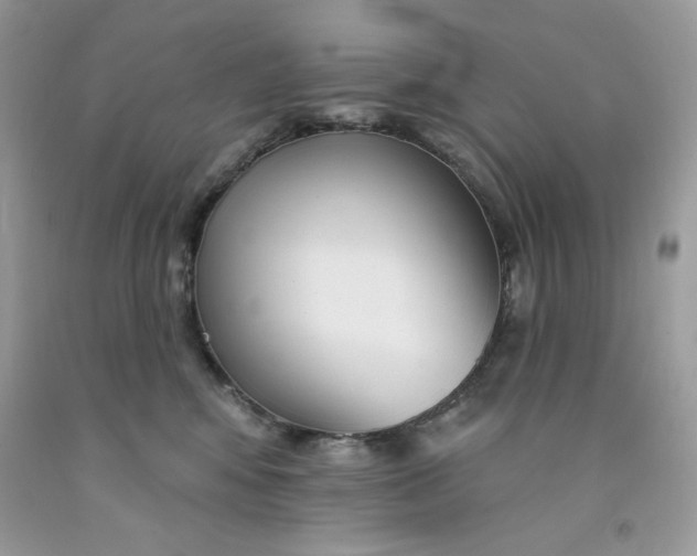 X0000091700424200709141103