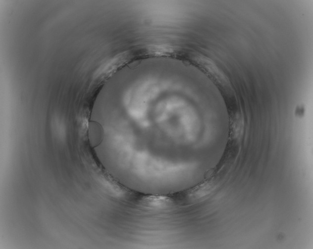 X0000091700427200709141103