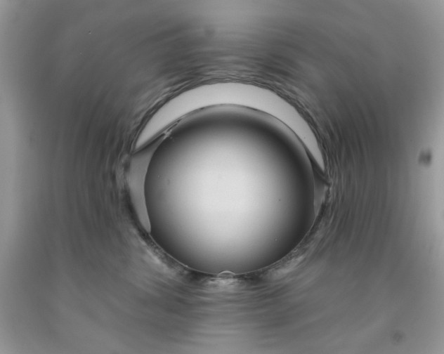 X0000091700428200709141103