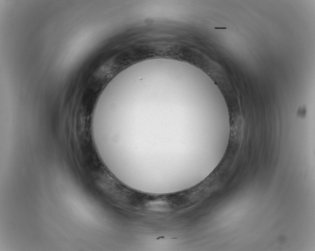 X0000091700430200709141103