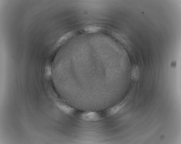 X0000091700431200709141103