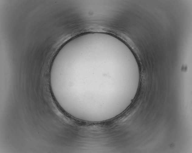 X0000091700433200709141102