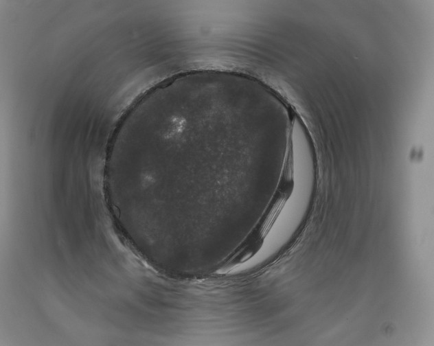 X0000091700434200709141102