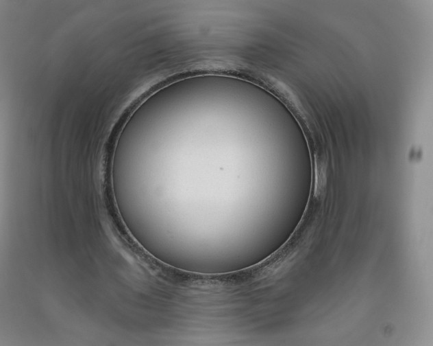 X0000091700435200709141102