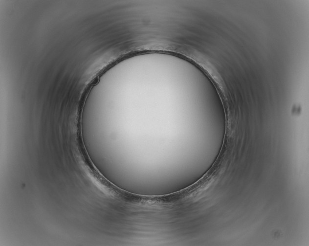 X0000091700437200709141102