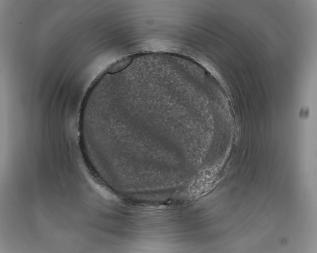 X0000091700438200709141102