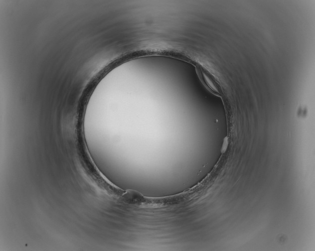 X0000091700440200709141102