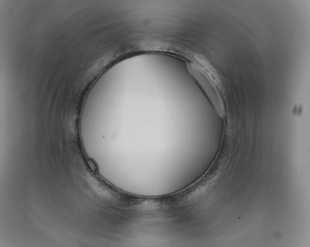 X0000091700441200709141102