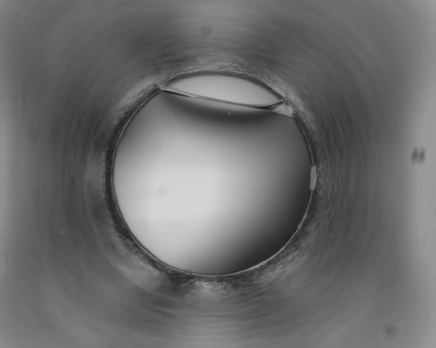 X0000091700442200709141102