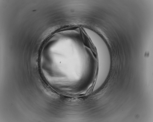 X0000091700443200709141103