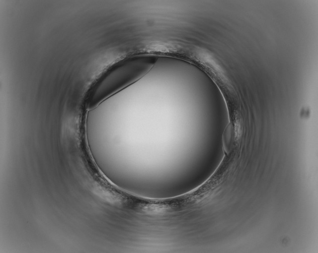 X0000091700444200709141103