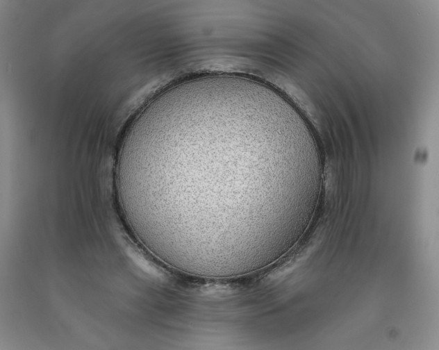 X0000091700445200709141103