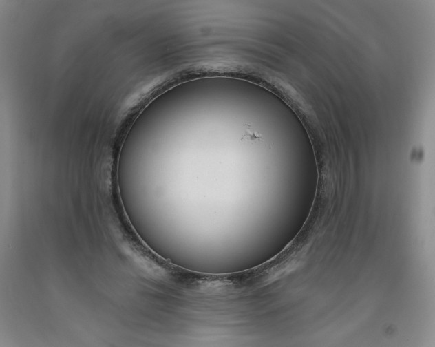 X0000091700446200709141103