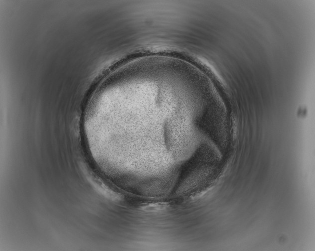 X0000091700447200709141103