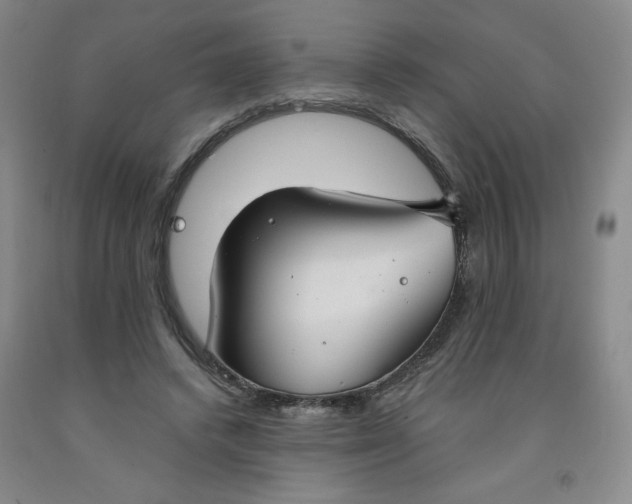 X0000091700448200709141103