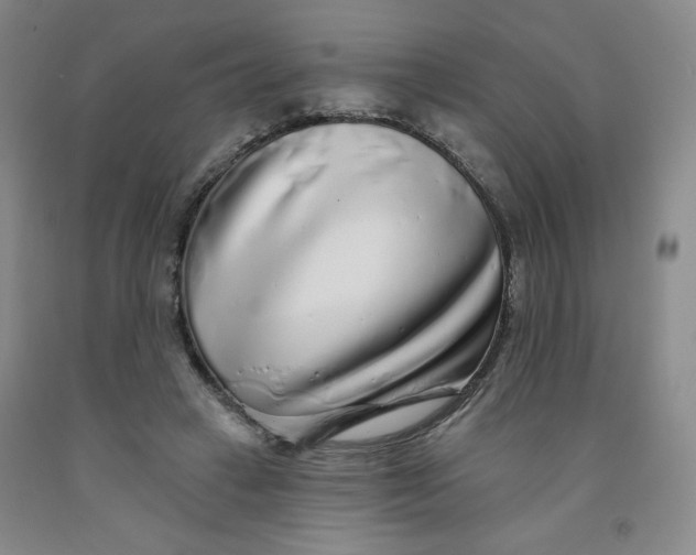 X0000091700449200709141103