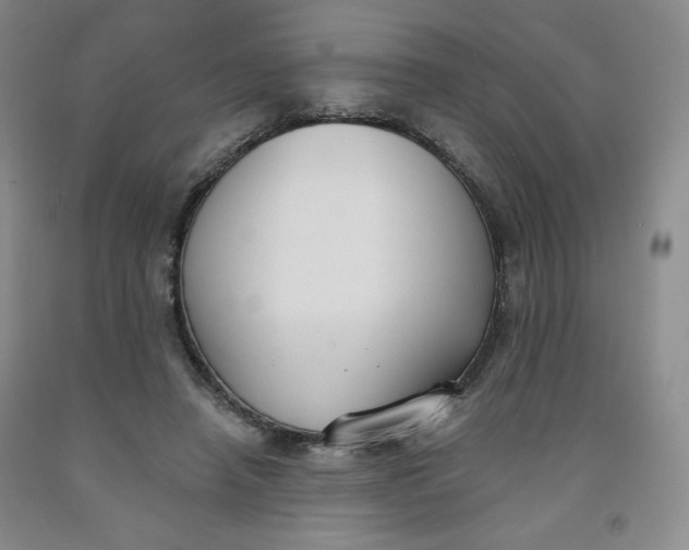 X0000091700450200709141103