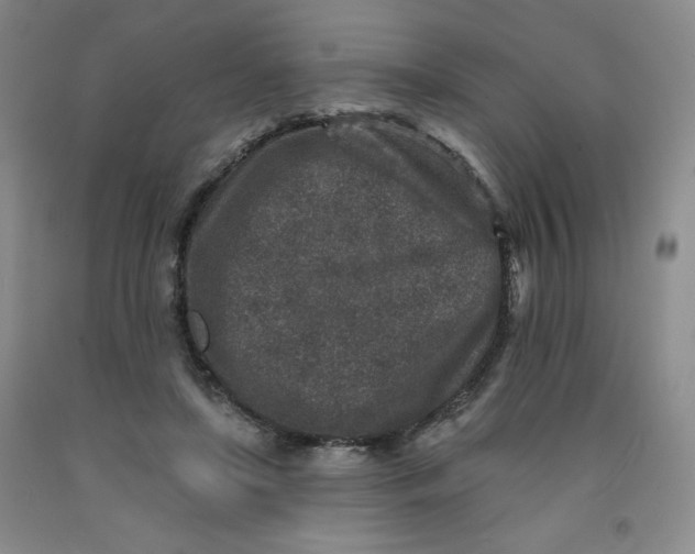 X0000091700451200709141103