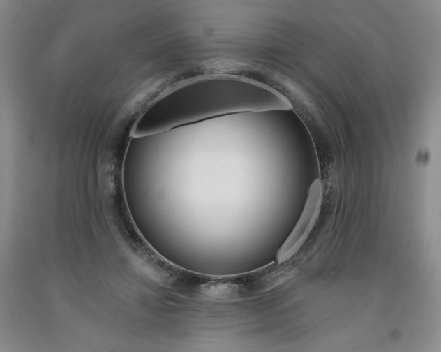 X0000091700452200709141103