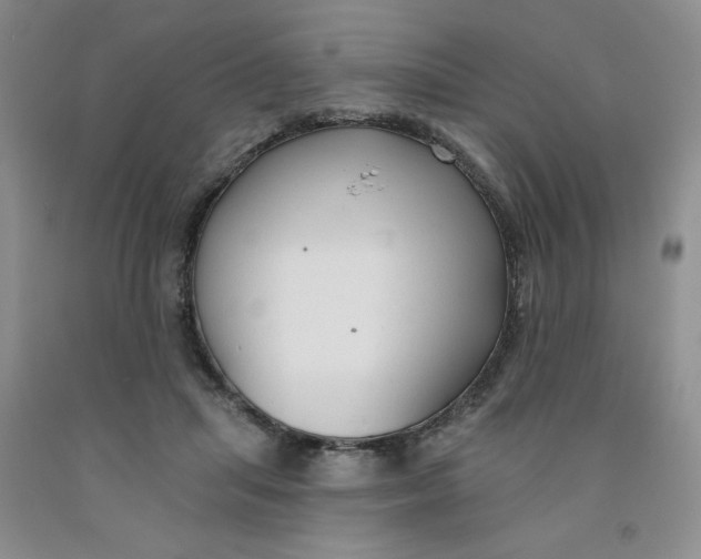 X0000091700455200709141103