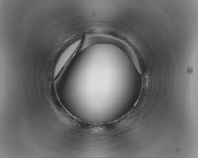 X0000091700456200709141103