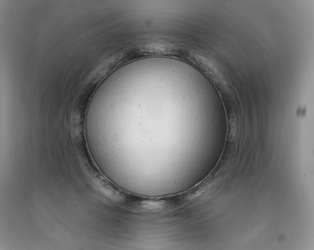 X0000091700457200709141103