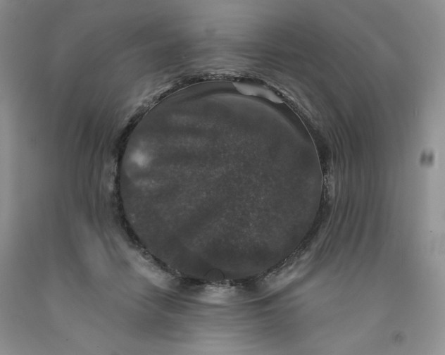 X0000091700458200709141103