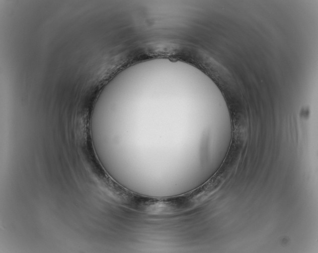 X0000091700460200709141103