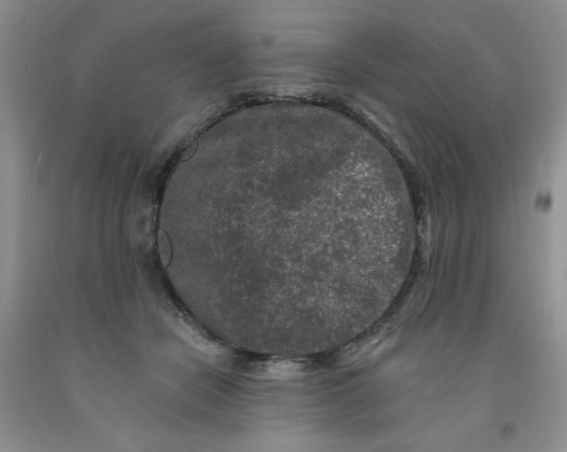 X0000091700462200709141103