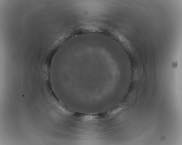 X0000091700465200709141103