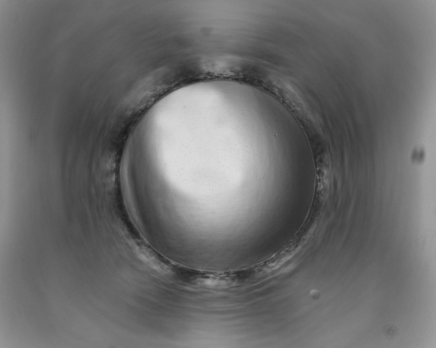 X0000091700466200709141103