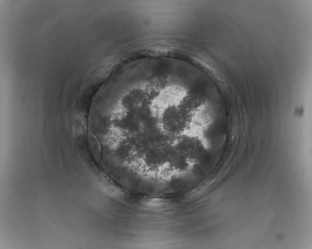 X0000091700467200709141103