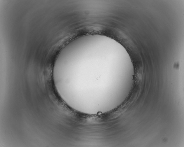 X0000091700468200709141103