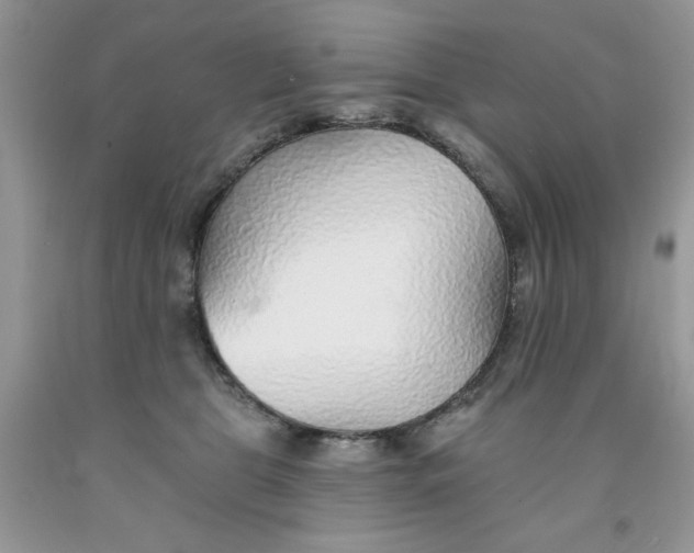 X0000091700469200709141103