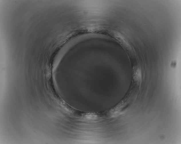 X0000091700471200709141103