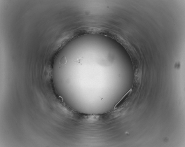 X0000091700474200709141103