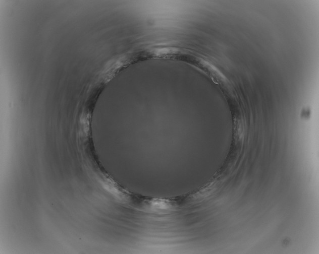 X0000091700475200709141103